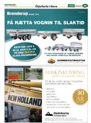 Síða 53