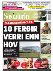 Síða 1