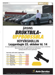 Síða 3