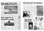 Síða 5