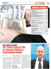Síða 11