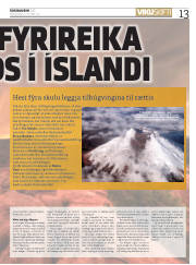 Síða 13