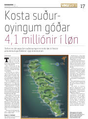 Síða 17