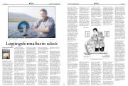 Síða 17