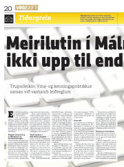 Síða 20