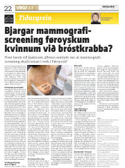 Síða 22