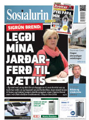 Síða 1