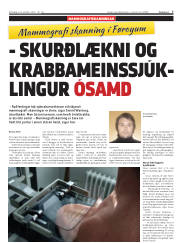 Síða 7
