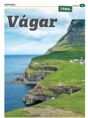 Síða 29