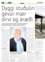 Síða 36