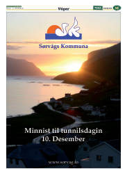 Síða 39