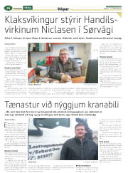 Síða 40