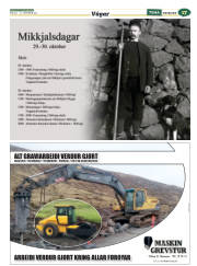 Síða 41