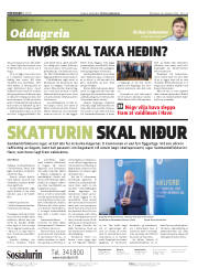 Síða 2