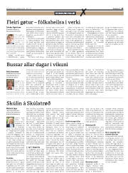 Síða 15