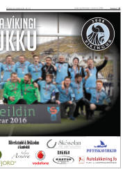 Síða 17