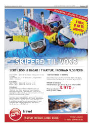 Síða 19