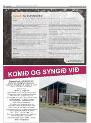 Síða 20