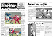 Síða 6