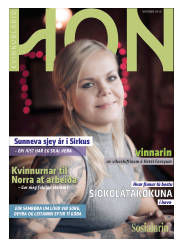 Síða 33