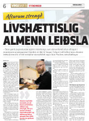 Síða 6