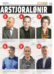 Síða 15