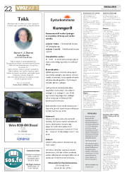 Síða 22