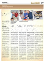 Síða 27