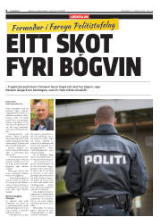 Síða 8