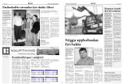 Síða 5