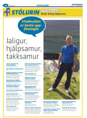 Síða 36