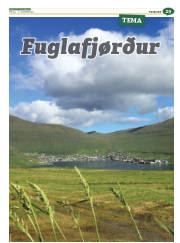 Síða 53