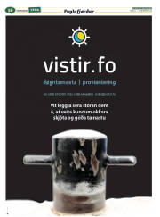 Síða 60