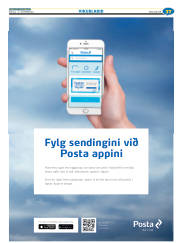 Síða 61