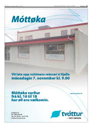 Síða 13