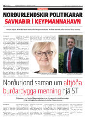 Síða 14