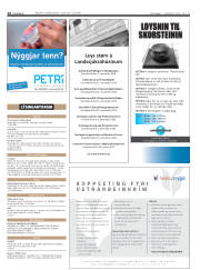 Síða 24