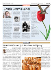 Síða 31