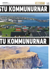 Síða 15