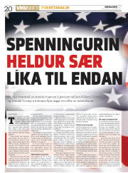 Síða 20