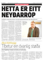 Síða 6