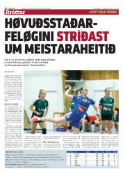 Síða 16