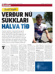 Síða 17
