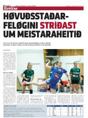 Síða 20