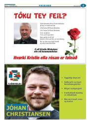 Síða 29