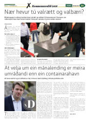Síða 45