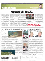 Síða 2