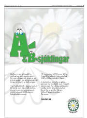 Síða 5