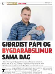 Síða 6
