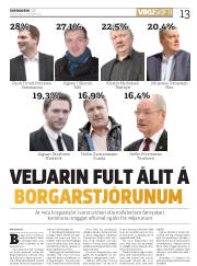 Síða 13